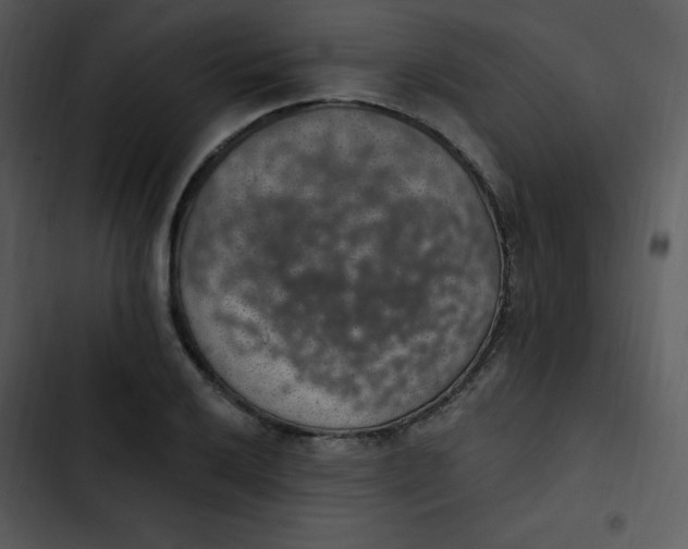 X0000102811032200809081104