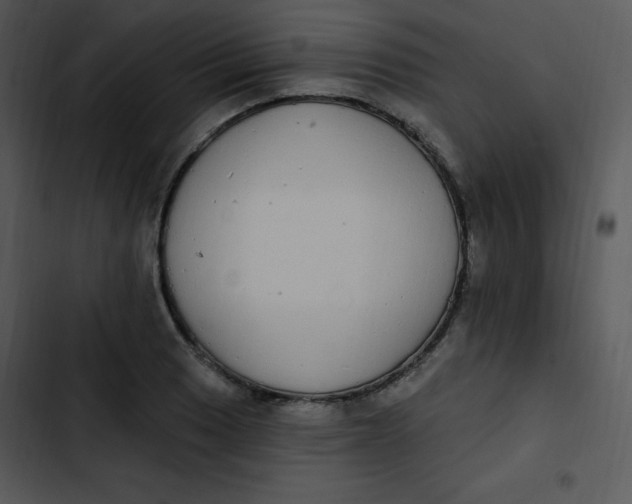 X0000102811033200809081104