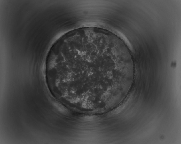 X0000102811035200809081104