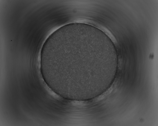 X0000102811036200809081104