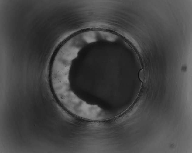 X0000102811037200809081104