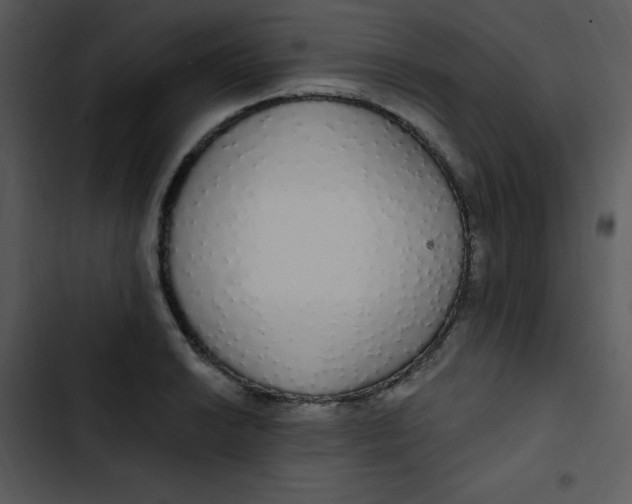 X0000102811038200809081104