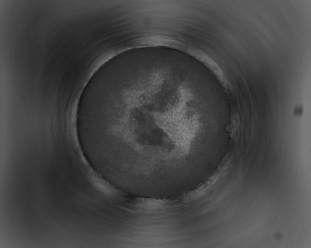 X0000102811039200809081104