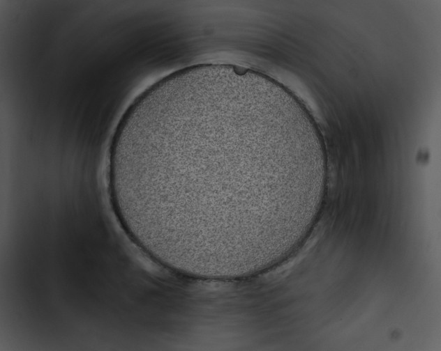 X0000102811040200809081104