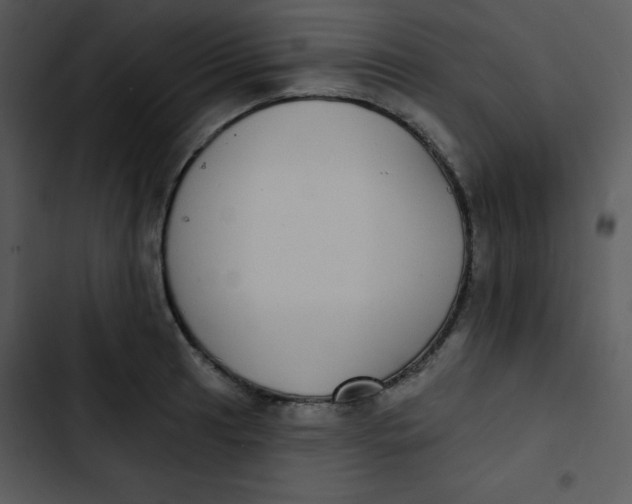 X0000102811041200809081104