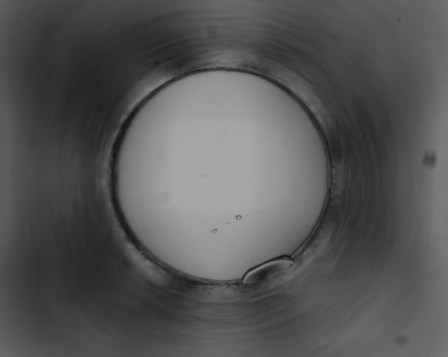 X0000102811042200809081104