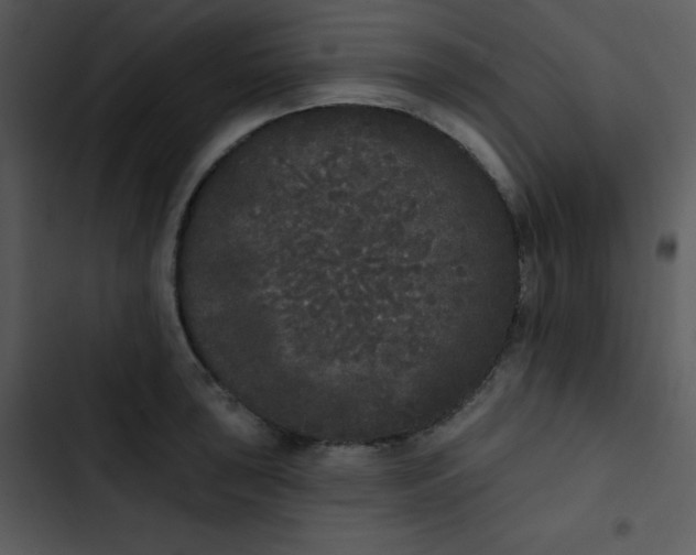 X0000102811043200809081104