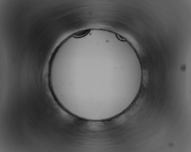 X0000102811046200809081104