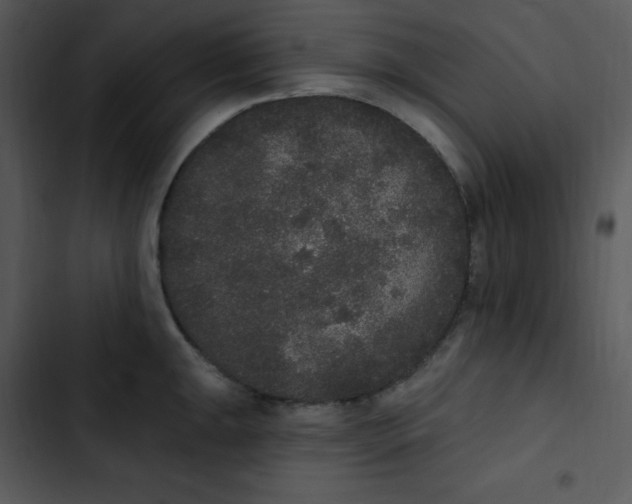 X0000102811047200809081104