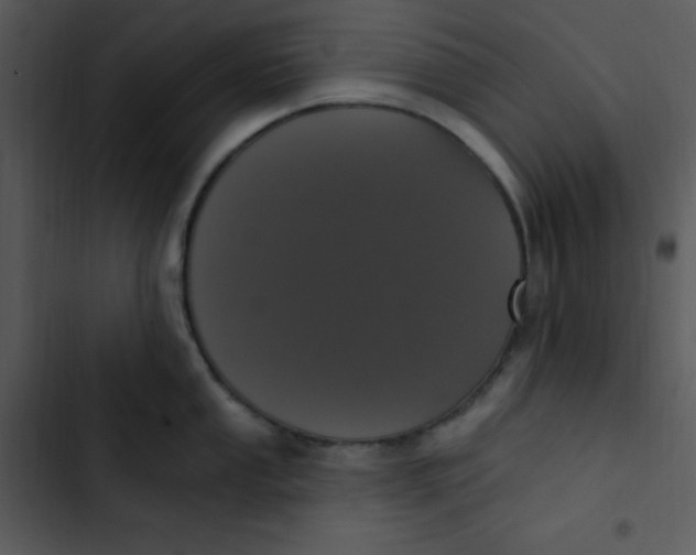 X0000102811053200809081104