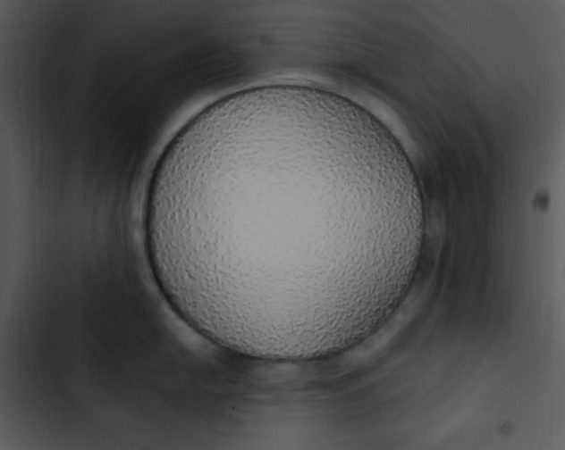 X0000102811054200809081104