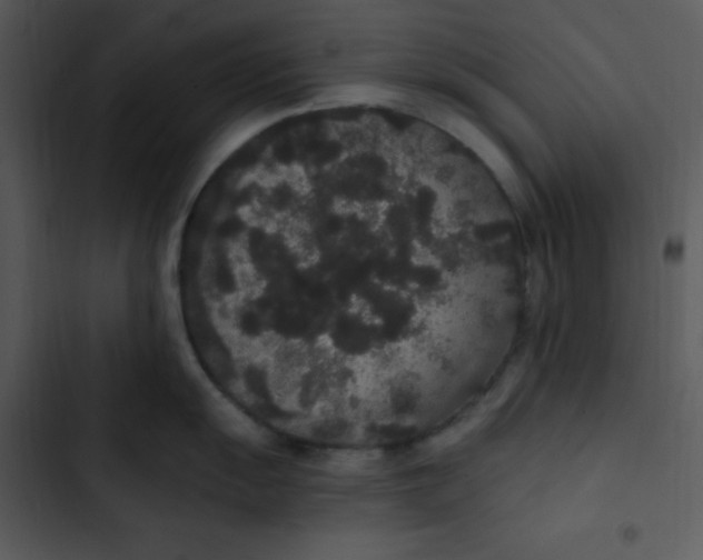 X0000102811055200809081104