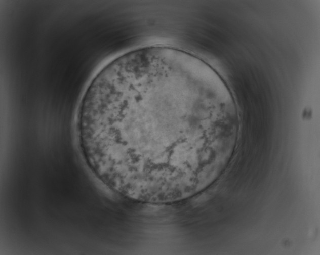 X0000102811056200809081104