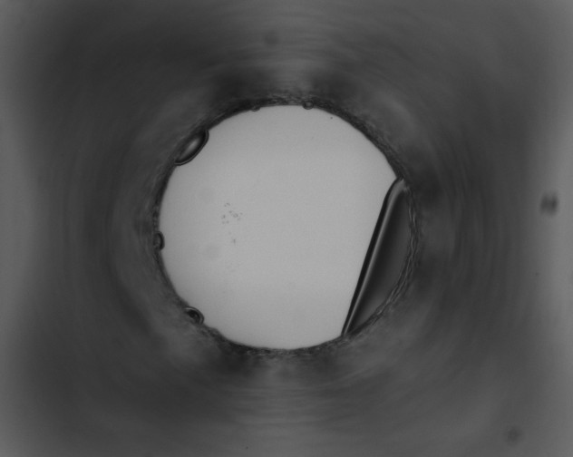 X0000102811057200809081103