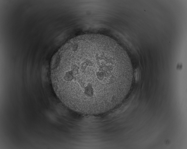 X0000102811059200809081103