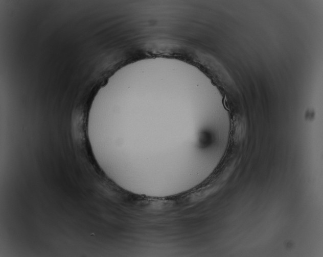 X0000102811060200809081103