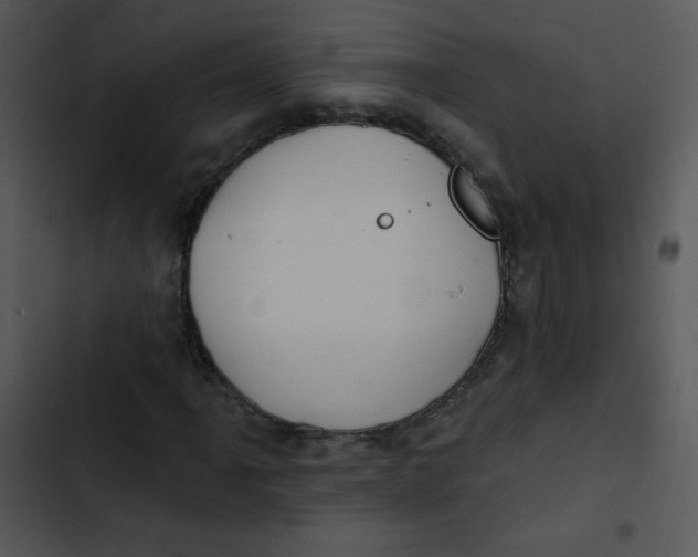 X0000102811061200809081103