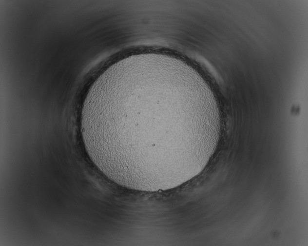 X0000102811064200809081103