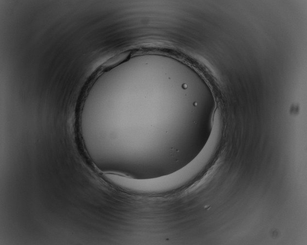 X0000102811065200809081103