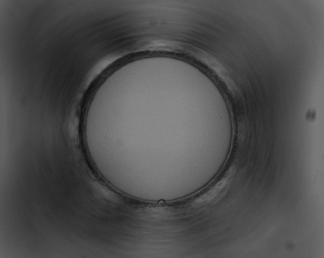 X0000102811066200809081103