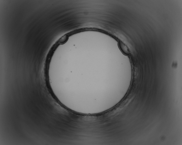 X0000102811068200809081103