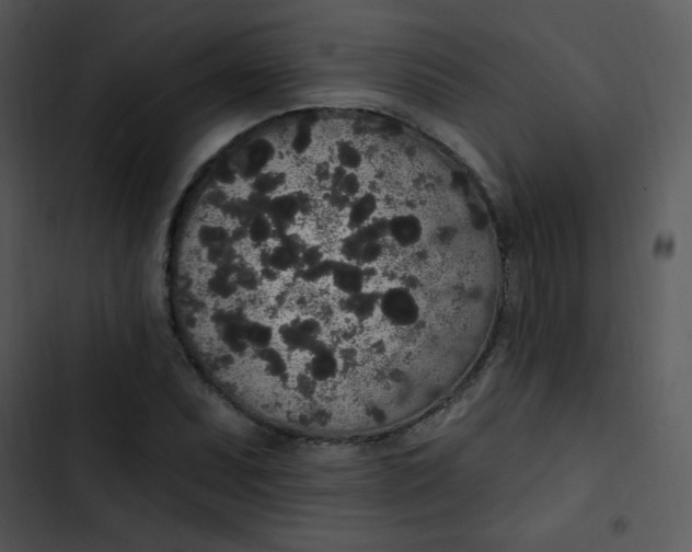 X0000102811071200809081103