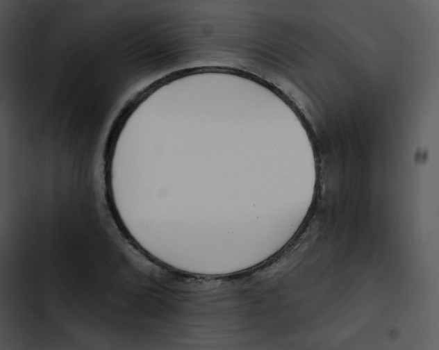 X0000102811072200809081103