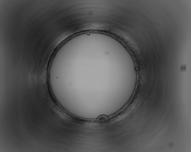 X0000102811073200809081103