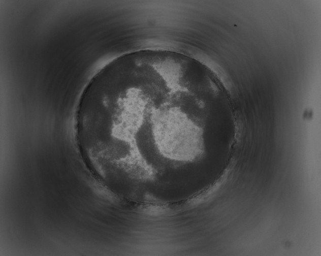 X0000102811074200809081103