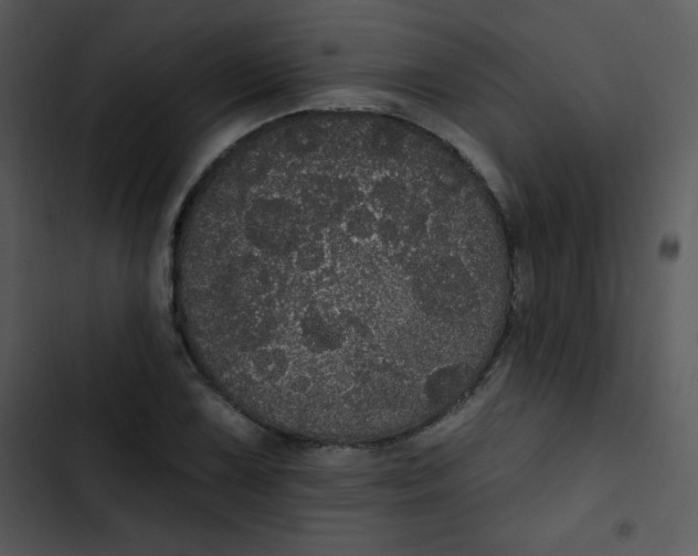 X0000102811075200809081103