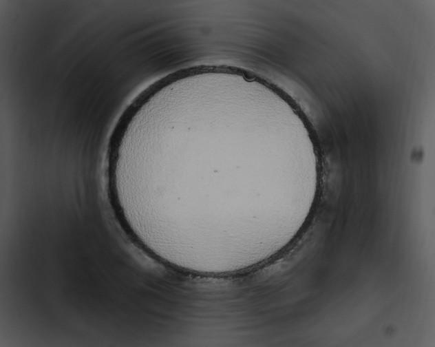 X0000102811076200809081103