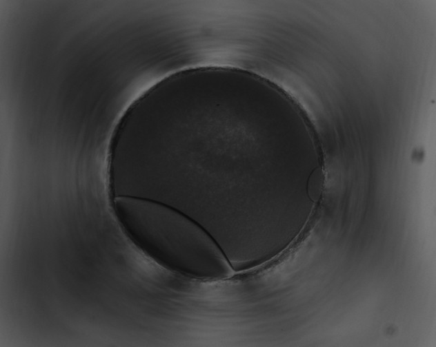 X0000102811077200809081103