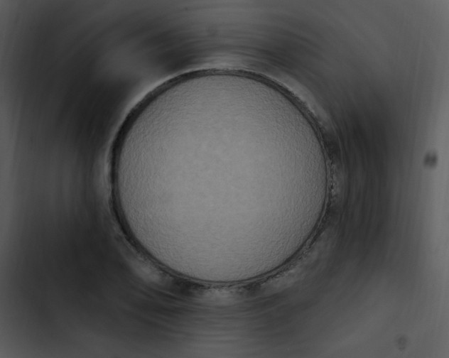 X0000102811078200809081103