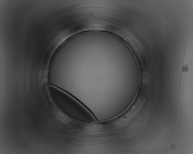 X0000102811081200809081103