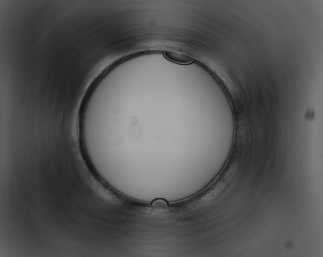 X0000102811082200809081103