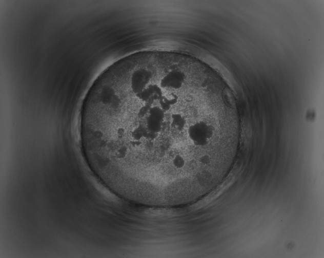 X0000102811083200809081103