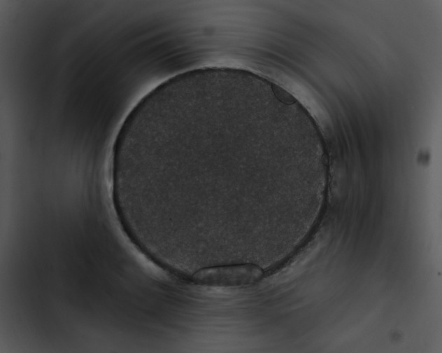 X0000102811084200809081103