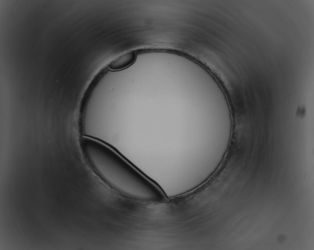 X0000102811085200809081103