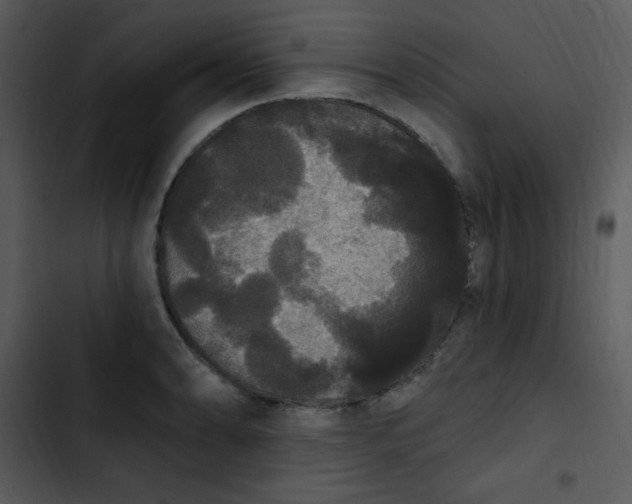 X0000102811086200809081103