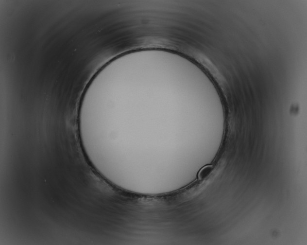 X0000102811089200809081103