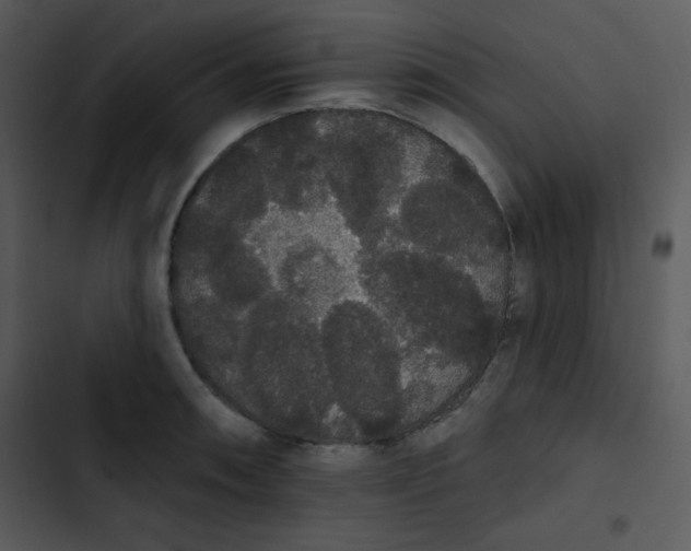 X0000102811090200809081103