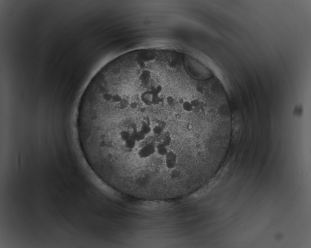 X0000102811091200809081103