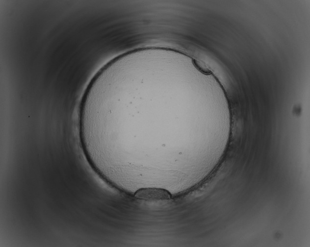 X0000102811092200809081103