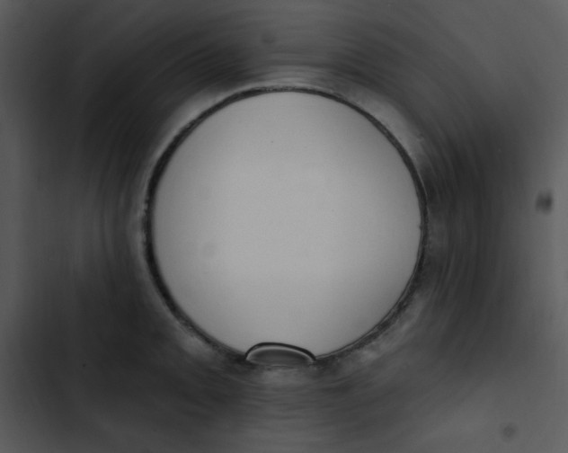 X0000102811093200809081103