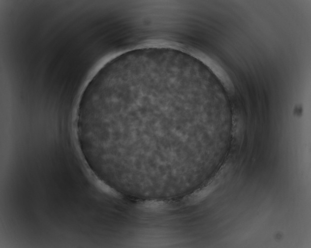 X0000102811094200809081103