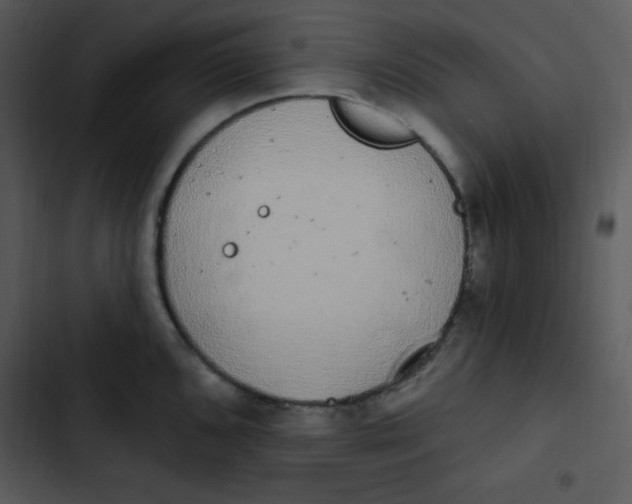 X0000102811096200809081103