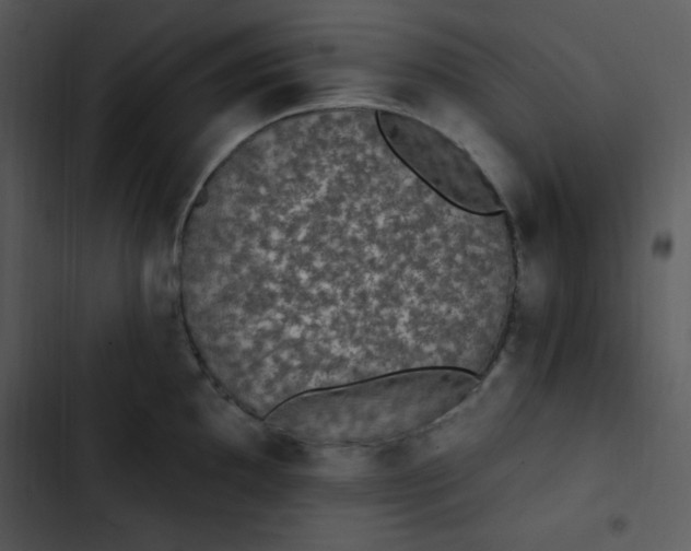 X0000102811097200809081103