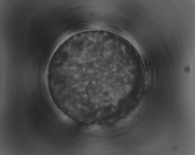 X0000102811098200809081103