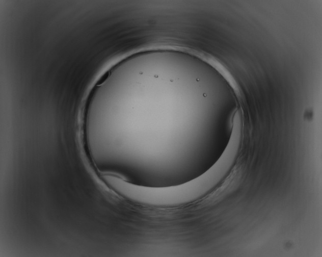 X0000102811101200809081102