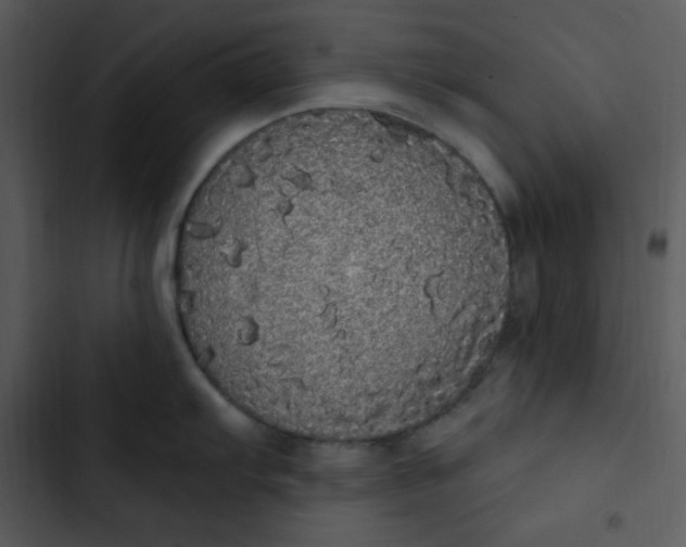 X0000102811103200809081102